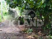 Prime 2500sqm Farm Lot: Durian, Cacao, Lansones Ideal...