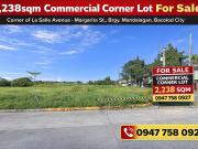 Prime 2,238sqm Commercial Corner Lot for Sale Along La...