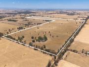 Prime 320 Acre Cropping and Grazing Land for Sale