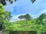 Prime 3,038.41 sqm Lot for Sale in Makati