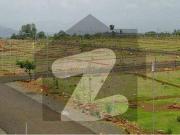 Prime 5 Marla Plot IN B 17