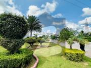 Prime 8 Marla Residential Plot for Sale