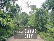 Prime Agricultural Land for Sale in Dacudao Calinan 5.7...