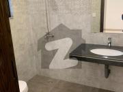 Prime Area Family Flat For Rent In Punjab University...