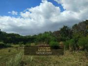 Prime BGC Lot for Sale in Taguig City