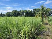 High Potential 7,619 sqm Lot for Sale in Bacolod – Ideal...