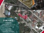 Prime Commercial Lot for Sale in Lahug, Cebu City