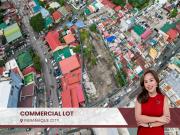 Prime Commercial Lot for Sale in Paranaque City Near C5...