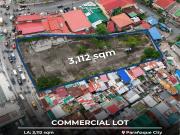 Prime Commercial Lot for Sale in Parañaque