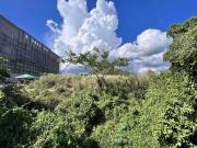 Prime Commercial Lots for Sale and for Lease in Batangas...