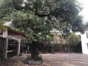 PRIME Commercial/Residential property FOR SALE! in... PRIME Commercial/Residential property FOR SALE! in...