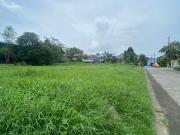 PRIME CORNER LOT FOR SALE IN BF HOMES, PARANAQUE NEAR SKYWAY
