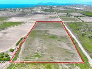 PRIME FARMING/ LIVESTOCK