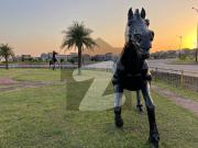 Prime Kanal Plot For Sale Bahria Enclave Sector F,...