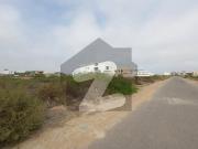 Prime Location 1000 Square Yards Residential Plot In...
