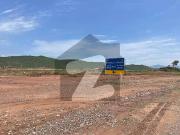 Prime Location 10 Marla Plot Available For Sale On...
