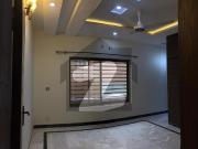 Prime Location 11 Marla House In D 12 Best Option D 12
