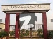 Prime Location 240 Square Yards Plot In PIA Society