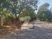 Prime location 400 square yard gulshan e rabia facing,...