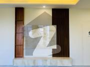 Prime Location Apartments for Rent Multi Gardens /...
