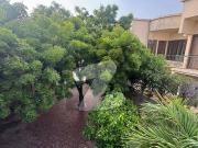 Prime Location House Of 1000 Square Yards Available For...