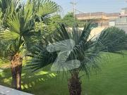Prime Location In Hayatabad Phase 1 House For sale Sized...