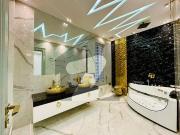 Prime location lush condition full house available for...