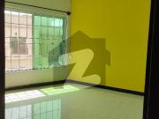 Prime location lush condition house available for sale...