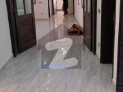 Prime location lush condition kanal house avail for rent