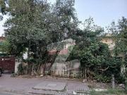Prime Location Old House In F 6
