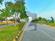 In Block 1 Kanal Plot in Rs 195 Lacs