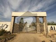 Prime Location Residential Plot In Qureshi Society For Sale