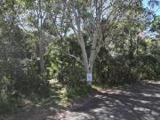 PRIME LOCATION WALK TO EVERYTHING!