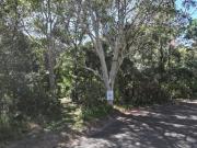 PRIME LOCATION WALK TO EVERYTHING!