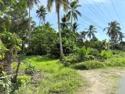 Prime lot for Residential or Commercial Use in San...