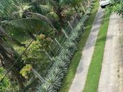 PRIME LOT FOR SALE in Ma a, Davao City!