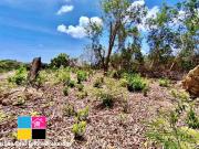 Prime Lot for Sale in maria Luisa Estate Park Banilad...
