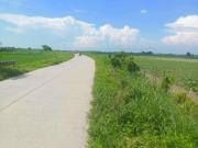 Prime Lot For Sale in Moncada Tarlac