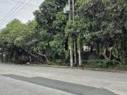 PRIME LOT FOR SALE IN STA. MESA HEIGHTS, QUEZON CITY
