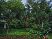 Prime Lots for Sale in Parkridge Estates Antipolo –...