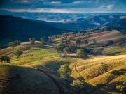 Prime Mudgee District Grazing Circa $10,000 per Cow Area...