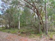 Prime North End Location – 536m² Block Prime North End Location – 536m² Block