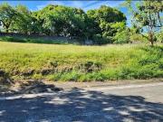 Prime Residential Lot for Sale in Ayala Alabang,...