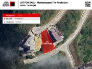 Prime Residential Lot with City Views Monterazzas The Peaks