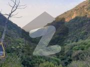 Prime Residential Plot For Sale In D 12 Sector