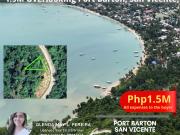 PRIME ROADSIDE SEA VIEW LOT FOR SALE – PORT BARTON, PALAWAN