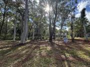 Prime Vacant Land