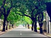 Prime Vacant Lot for Sale in New Manila, Quezon City