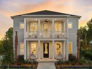 Primrose Plan Long Savanna Community