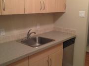 Princeton Towers Studio Apartment for Rent at 424...